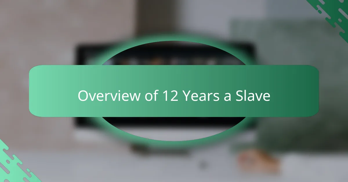 Overview of 12 Years a Slave
