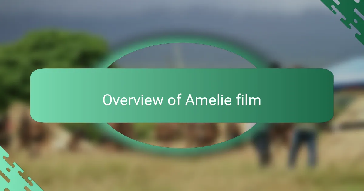 Overview of Amelie film